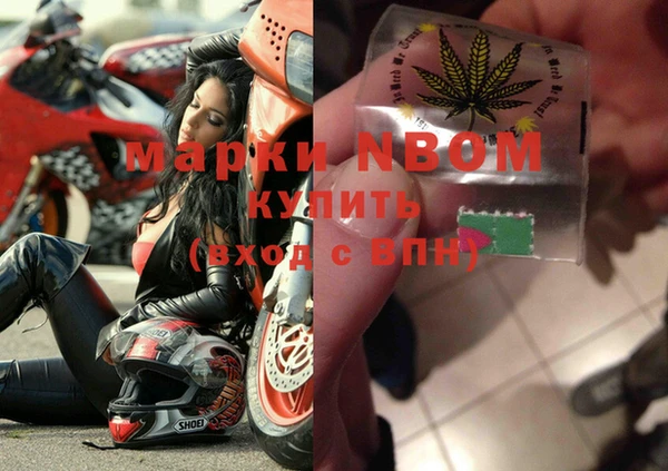 сатива Заводоуковск