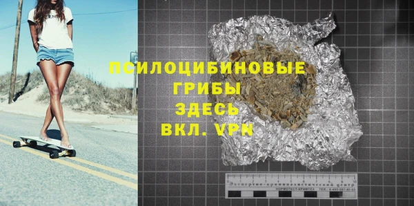 сатива Заводоуковск