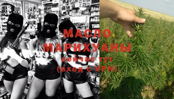 сатива Заводоуковск