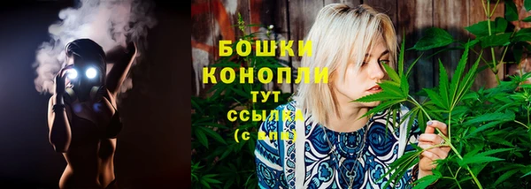 сатива Заводоуковск
