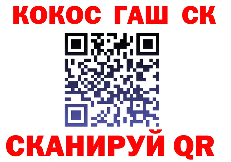 A PVP СК вход площадка блэк спрут Дмитров